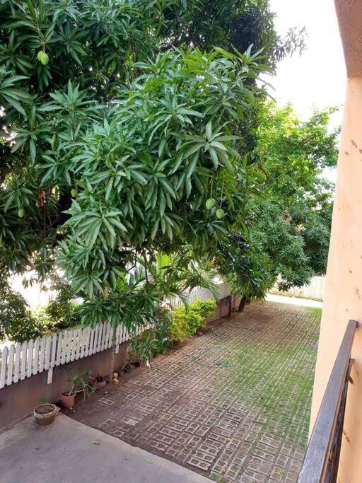 Central Upscale New Kingston Apt With Pool Exterior foto